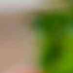 macarrones con pollo