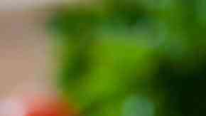 macarrones con pollo