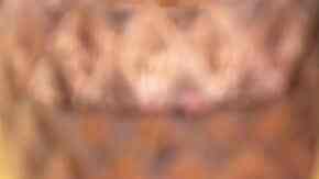 pechuga de pollo rellena de guacamole