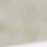 Pollo frito al estilo cajún