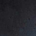 delicioso salmón al limón