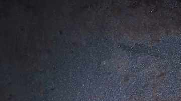 delicioso salmón al limón