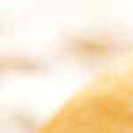 delicioso sandwich de salchichón con queso