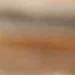 Tomates verdes fritos