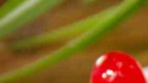 helado de piña colada