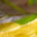 hamburguesa con cebolla caramelizada, pimientos y queso