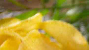 hamburguesa con cebolla caramelizada, pimientos y queso