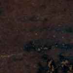 Caldillo de congrio tradicional receta chilena