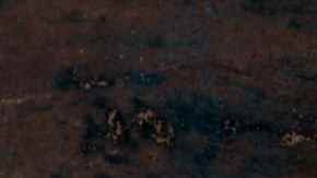 Caldillo de congrio tradicional receta chilena