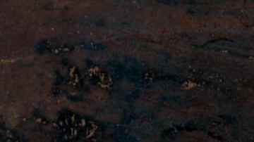 Caldillo de congrio tradicional receta chilena