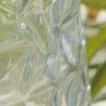 Ensalada de manzana y mandarinas