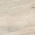 ensalada de pollo con pepino y aguacate