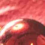 Photo © 2019 The Grosby Group

Ensalada Navideña de manzana y piña