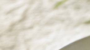 Espaguetis en salsa blanca de yogurt