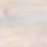 Receta del auténtico flan napolitano