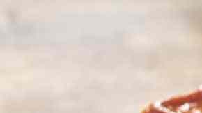 Receta del auténtico flan napolitano