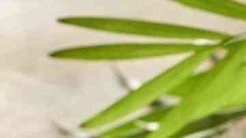 Hot cakes con peanut butter, chocolate y berries