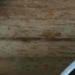 Huevos revueltos con bacon