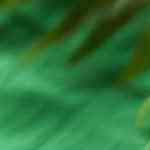 Licuado de nopal con piña