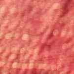 Panettone con crema y frutas