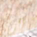 Pastel de choclo y carne receta chilena