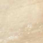 Pollo con crema de cilantro