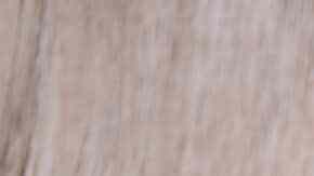 huevo frito en el microondas