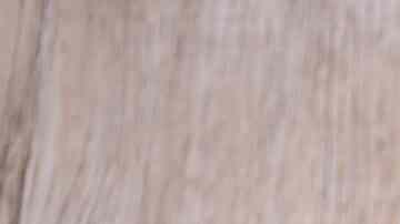 huevo frito en el microondas