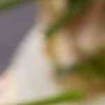 huevos duros partidos por la mitad, rellenos de salmón