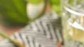 nopales asados con queso panela