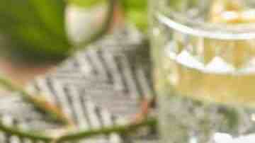 nopales asados con queso panela