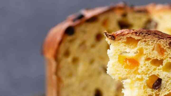 Panettone