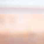 pastel de langostinos