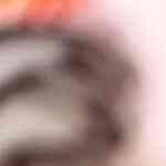 Fresas bañadas en chocolate