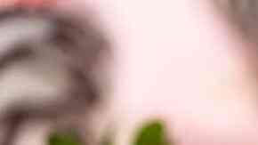 Fresas bañadas en chocolate