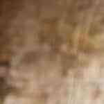 Jamón planchado venezolano