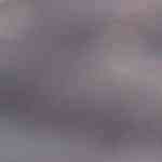 2 tomates rellenos de atún