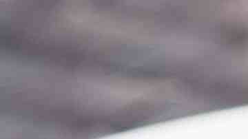 2 tomates rellenos de atún