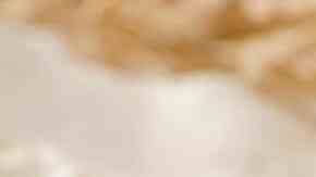 tosta de huevo revuelto