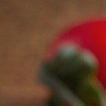 Berenjenas rellenas con vegetales