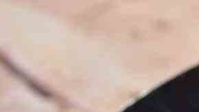 Champiñones con jamón