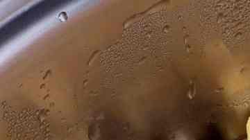 Garbanzo en olla exprés