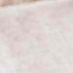 Lomo de cerdo a la naranja