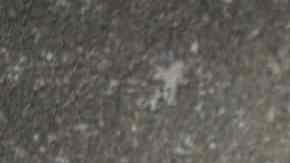 Macarrones a la boloñesa