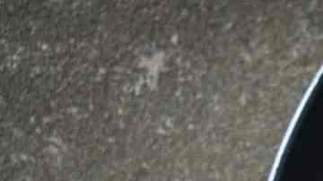 Macarrones a la boloñesa