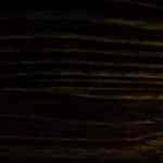 muslos de pollo en salsa de champiñones