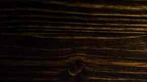 muslos de pollo en salsa de champiñones