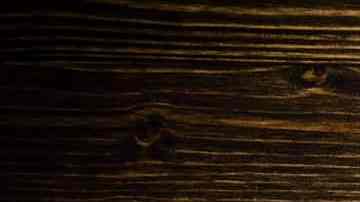 muslos de pollo en salsa de champiñones