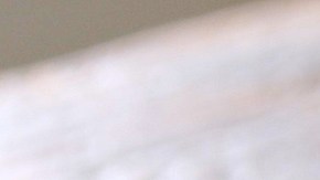 Espárragos trigueros a la soja y al limón