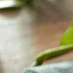 Steak and kidney pie